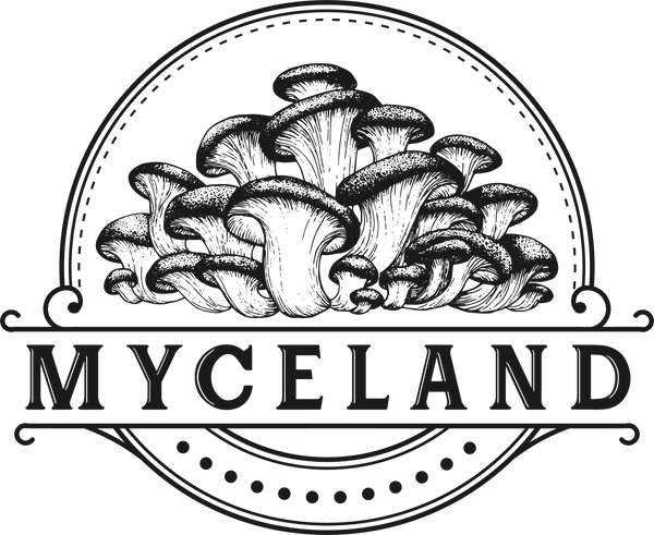 Myceland - Svampodling & mykologi