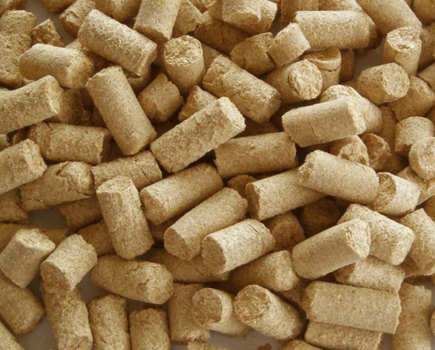 Vetekli pellets (1 kg) - Myceland - Svampodling & mykologi